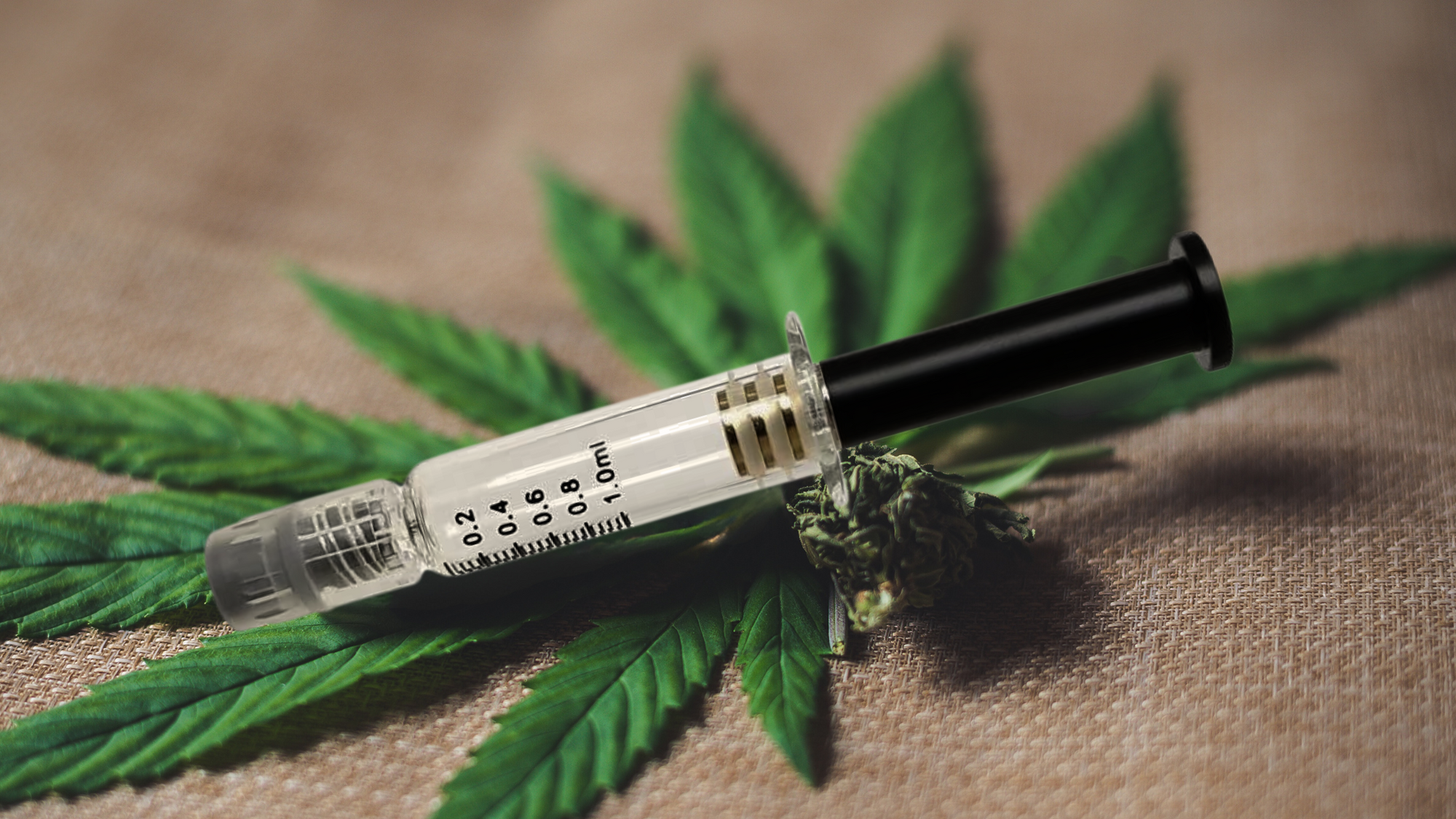 A DMLift Patented air release distillate syringe laying on top of a cannabis bud and cannabis leaf